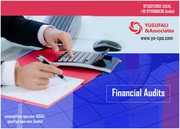 Enterprise Risk Management Services, Financial Audit – YA-CPA Team.