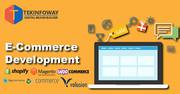 Ecommerce Development Services with Expert Developers