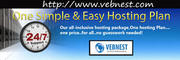 VEBNEST offer 24/7 web solutions since 2007 to its customers around th