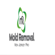 Water Damage Restoration & Mold Removal 