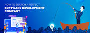 Custom Software Development Company - Software Development Company
