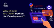 Python Web Development 