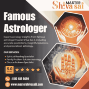 Famous Astrologer in California | Psychic Reading in California