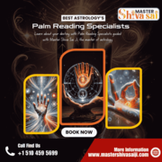 Best Astrologer in California | Famous Palm Reading Astrologer