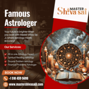 Famous vedic Astrologer in California | Famous Astrologer in Californi